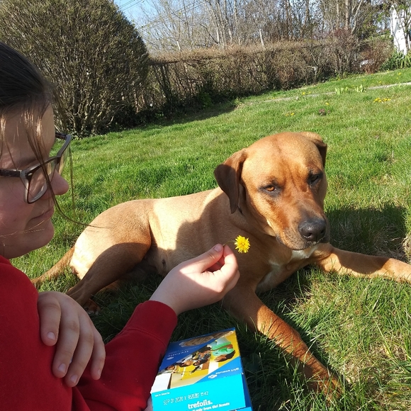 Toy Story Black Sweater Disney/Pixar/Forever 21 - Picture 3 of 3